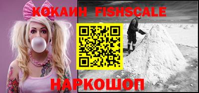 индика Тула