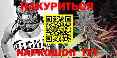 индика Тула
