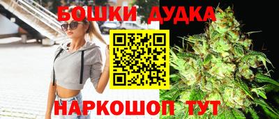 индика Тула
