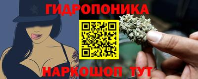 гидра Тара