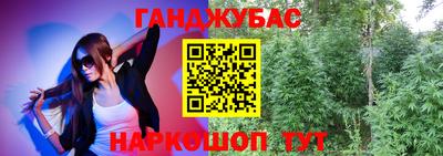 гидра Тара