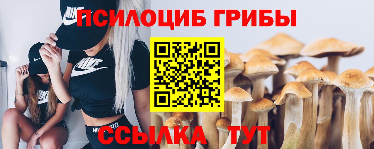 Галлюциногенные грибы Magic Shrooms  где купить наркоту  Вход с VPN  Новый Уренгой  Галлюциногенные грибы Psilocybe 